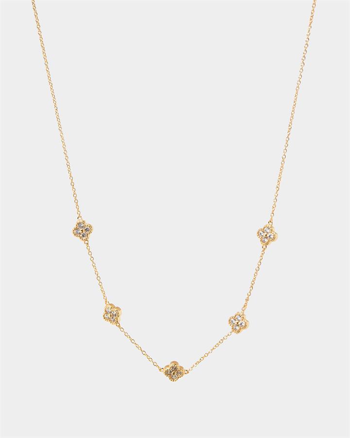 Amora 16k Gold Plated Necklace