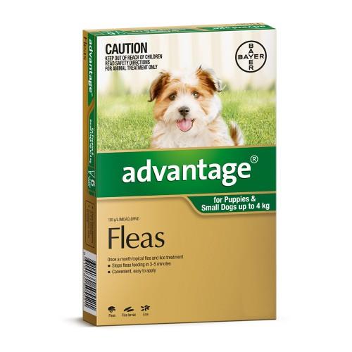 Advantage Small Dogs and Puppies Under 4kg Green 4pk