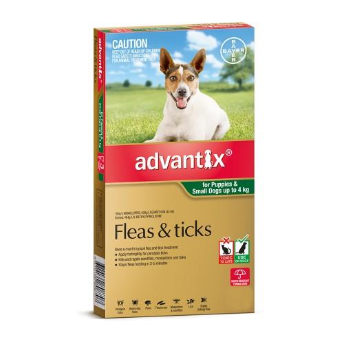 Advantix Puppies and Small Under 4kg Green 6 pack