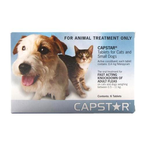 Capstar for Cats and Small Dogs 0.5-11kg 6 pack
