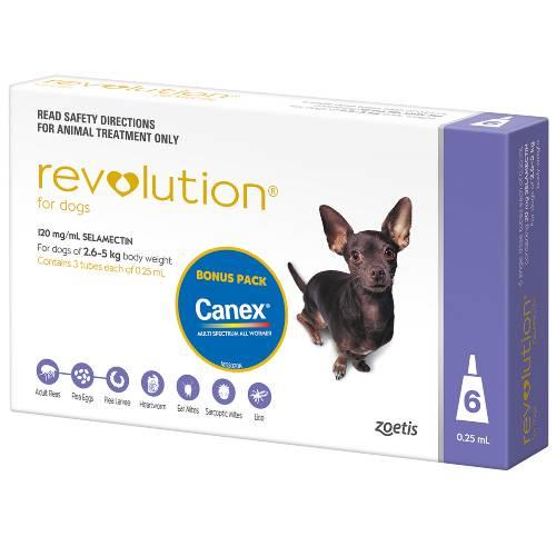 Revolution Purple Extra Small 2.6-5kg 6 pack