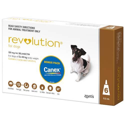 Revolution Brown Small 5.1-10kg 6 pack