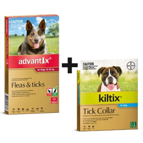 Advantix and Kiltix Bundle for Large 10-25kg Red 6 pack and Kiltix