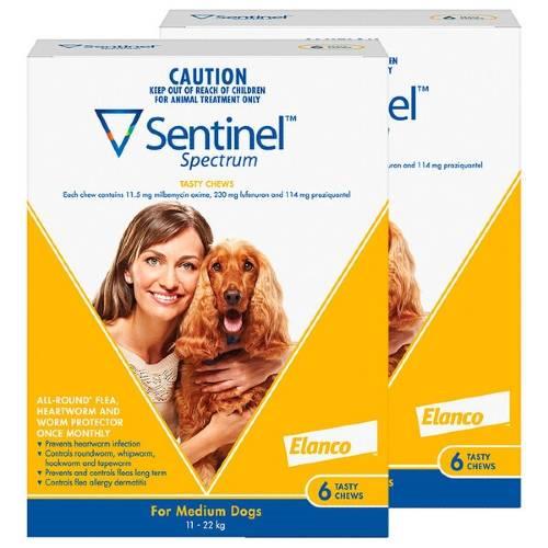 Sentinel Spectrum Chews Medium Yellow 12 pack