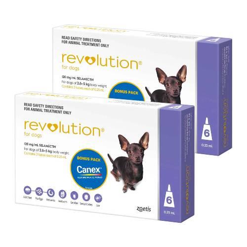 Revolution Purple Extra Small 2.6-5kg 12 pack