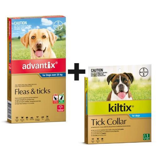 Advantix and Kiltix Bundle for Extra Large over 25kg Blue / Grey