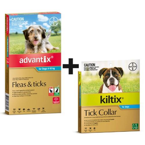 Advantix and Kiltix Bundle for Medium 4-10kg Teal 6 pack and Kiltix