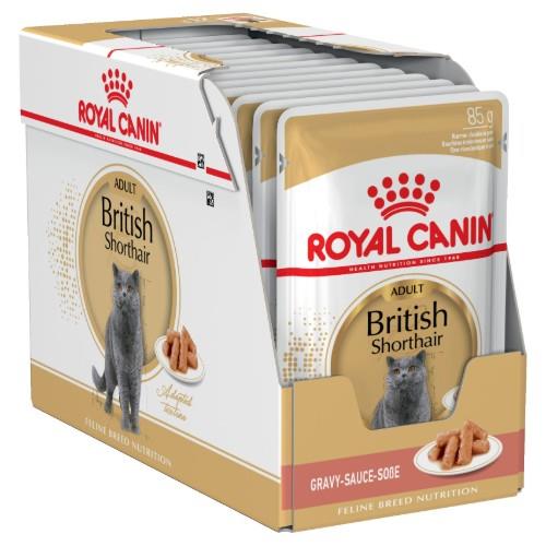 Royal Canin Adult British Shorthair in Gravy 12x85g