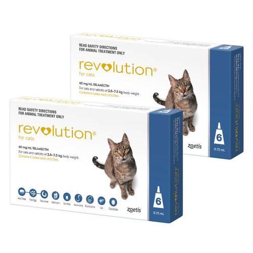 Revolution Blue 12 pack