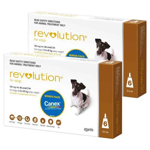 Revolution Brown Small 5.1-10kg 12 pack