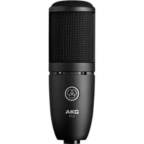 P120 General Purpose Recording Microphone | Black