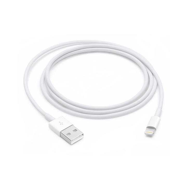 Apple 1m Lightning to USB Cable MXLY2ZA/A
