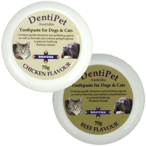 Dentipet Toothpaste for your Cat or Dog [Flavour: Beef]