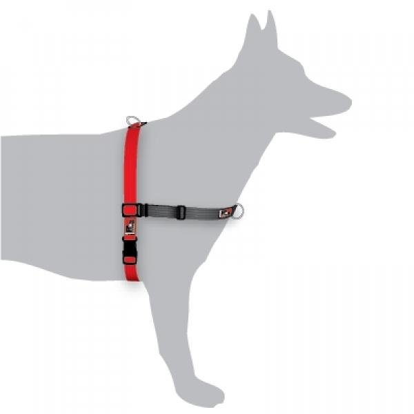 Black Dog Balance Dog Halter with Front & Back attach D-Rings - X-Large - Red