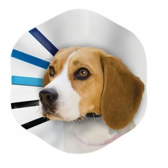 KONG EZ Clear Elizabethan Medical Collar for Cats & Dogs - Medium