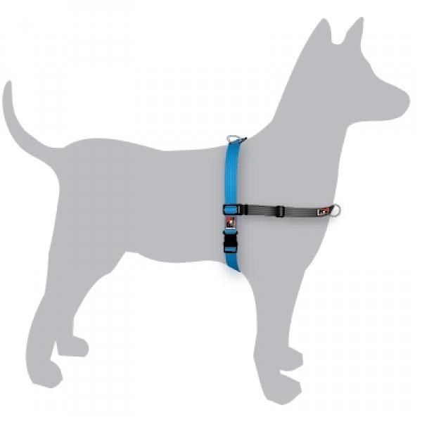 Black Dog Balance Dog Halter with Front & Back attach D-Rings - Medium -Blue