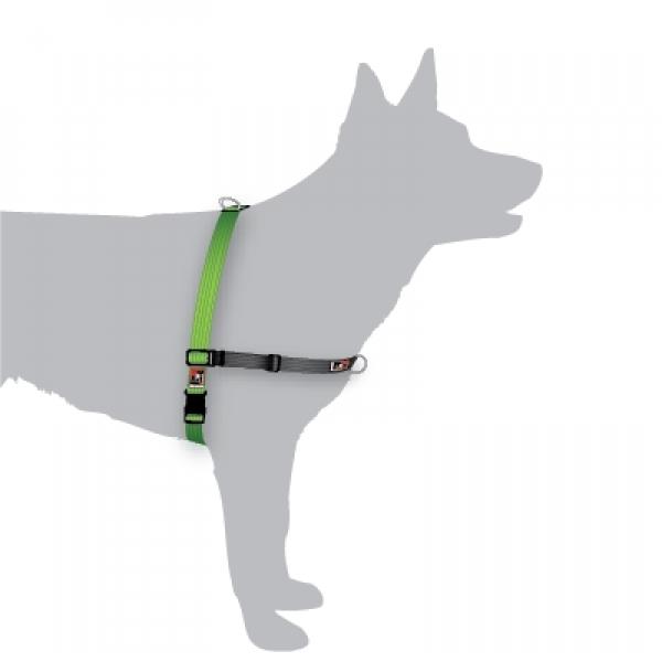 Black Dog Balance Dog Halter with Front & Back attach D-Rings - Medium Green