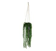 80Cm Artificial Peperomia Hanging Plant Green