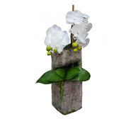 65Cm Phalaenopsis Orchid Artificial Plant Arrangement In Cement White Medium