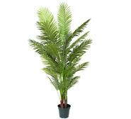 213Cm Areca Artificial Palm Tree Green Extra Large