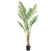 240Cm Artificial Palm Tree Green Extra Large