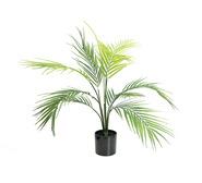 61Cm Butterfly Artificial Palm Tree Green Small
