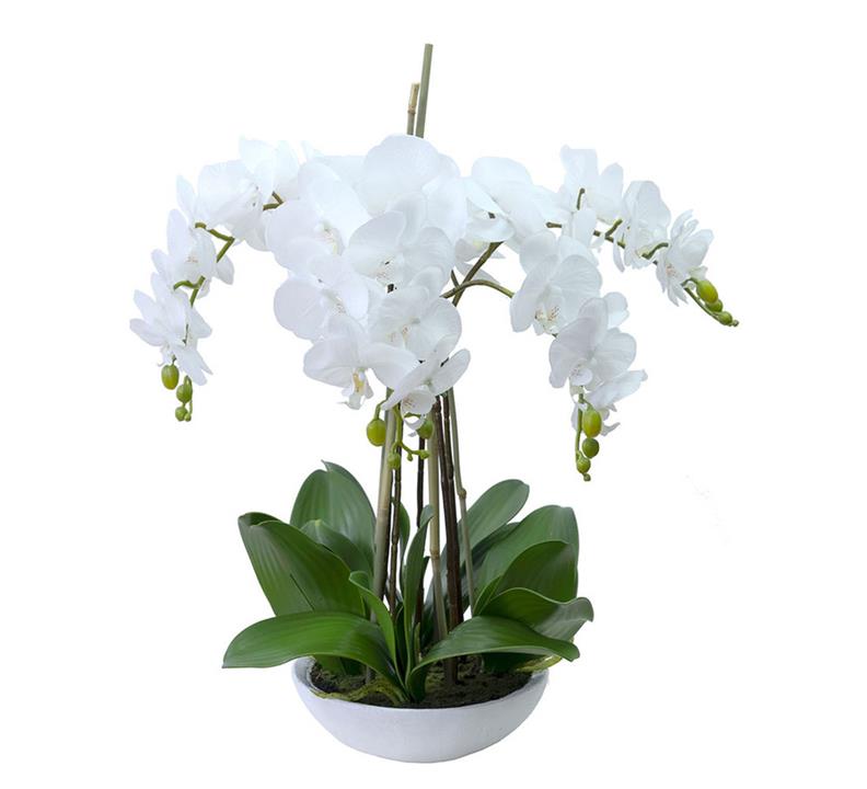 45Cm Phalaenopsis Orchid Artificial Plant In A Bowl White Small