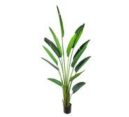 240Cm Traveller Artificial Palm Tree Green Extra Large