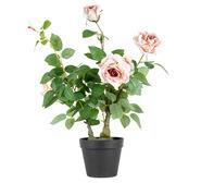 65Cm Lagerfield Rose Artificial Plant Pink