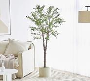 170Cm Artificial Olive Tree In Pot Green