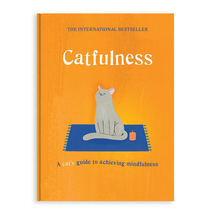 Catfulness A Cat's Guide