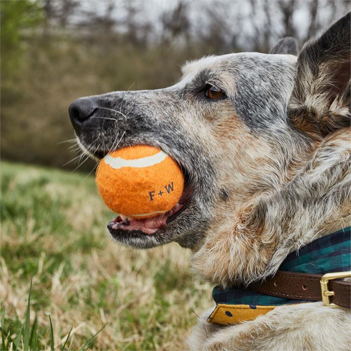 Field & Wander Dog Tennis Balls