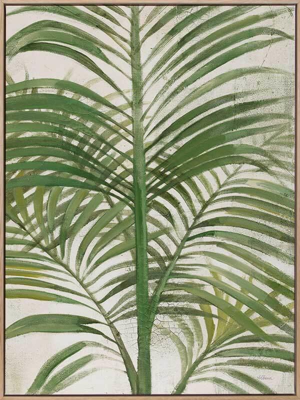 Areca Palm II Canvas Art Print