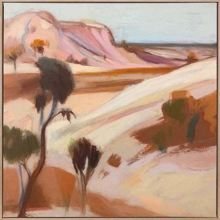 Aussie Terrain Canvas Art Print