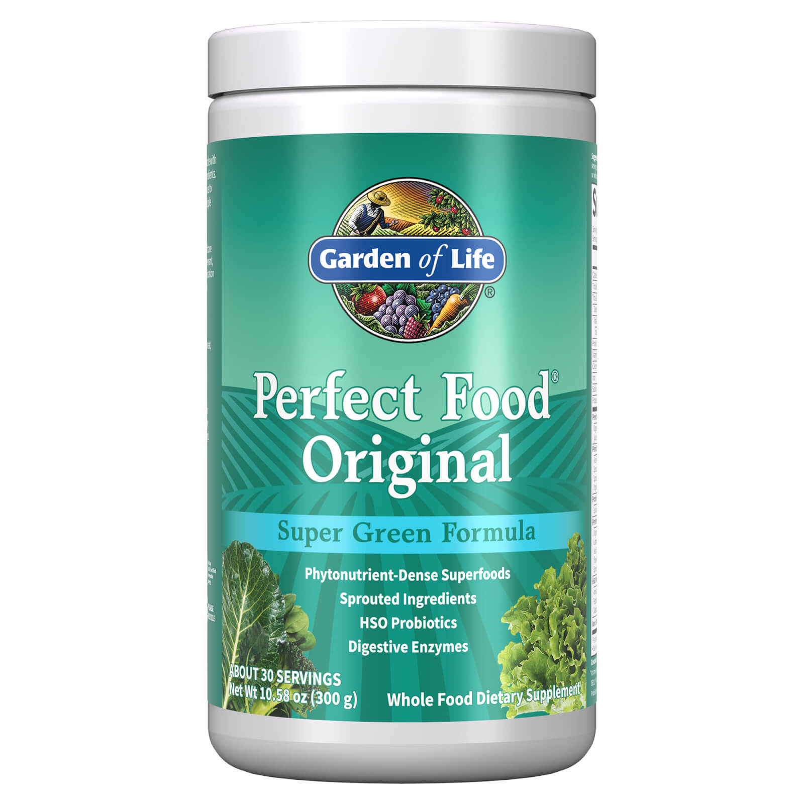 Garden of Life Perfect Food 300g Powder